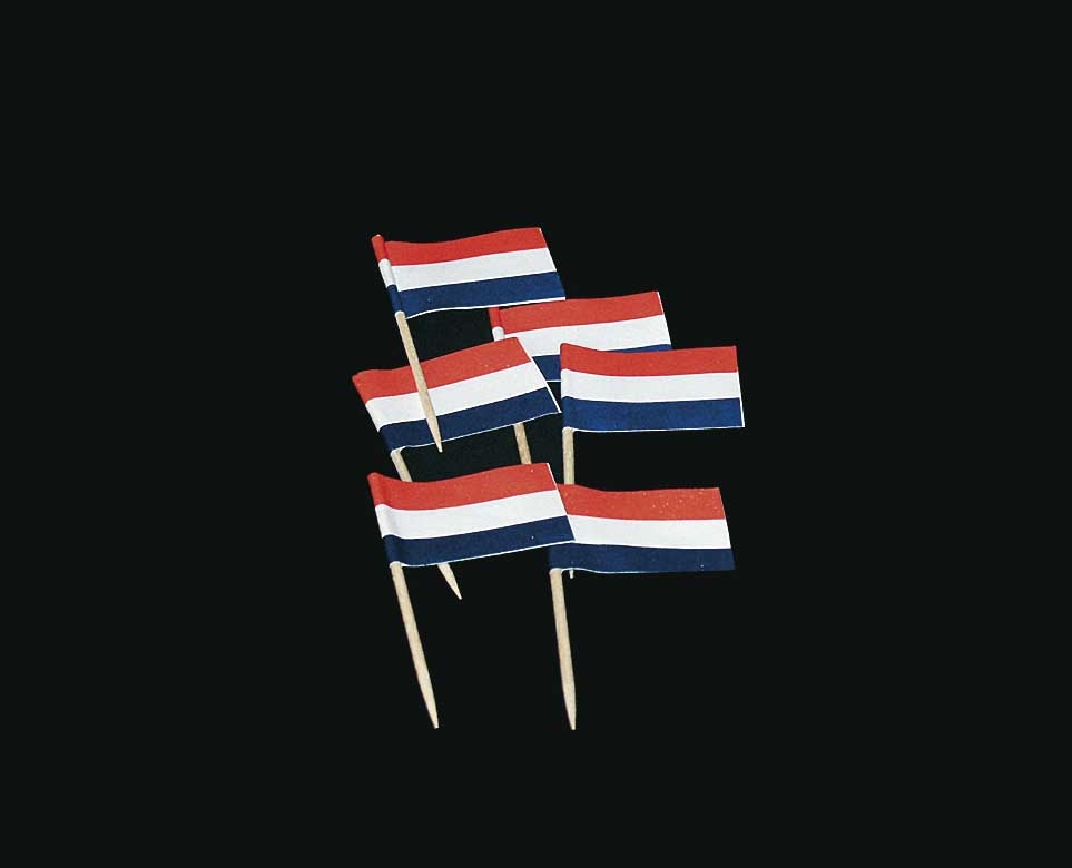 144st Prikkertjes Vlag Nederland