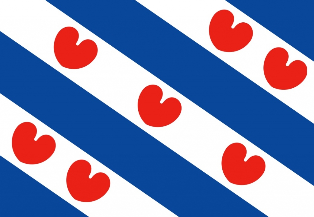 Vlag Friesland 90x150cm