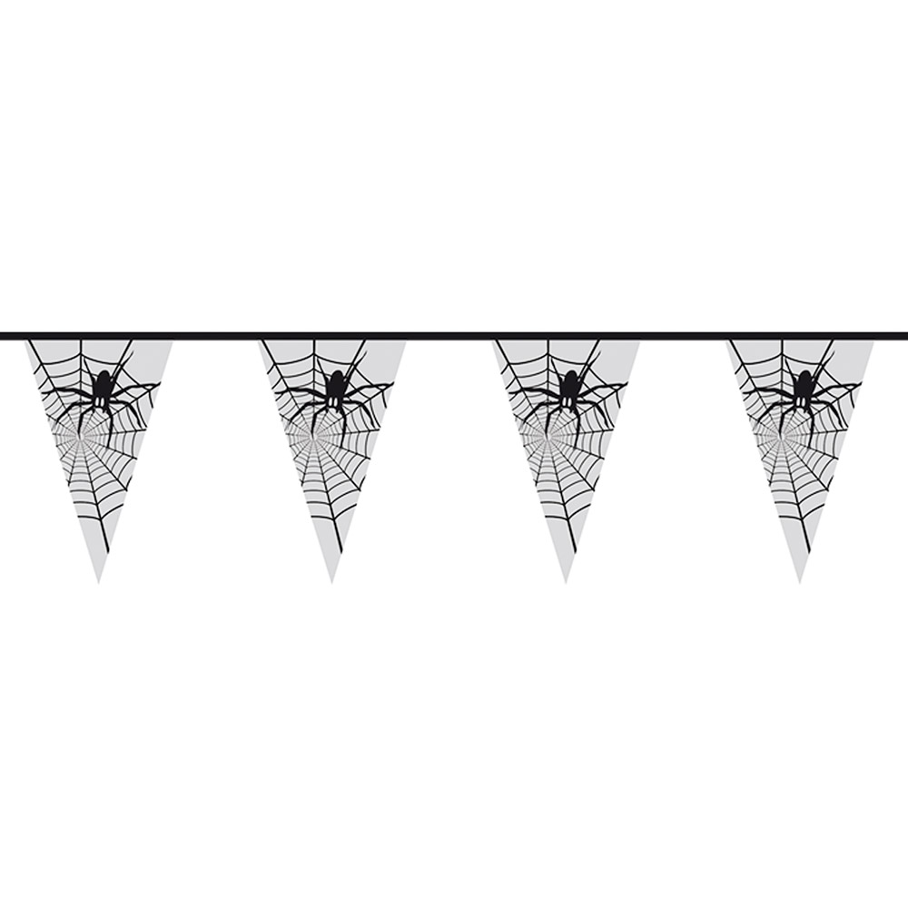 6m Vlaggenlijn Spinnenweb
