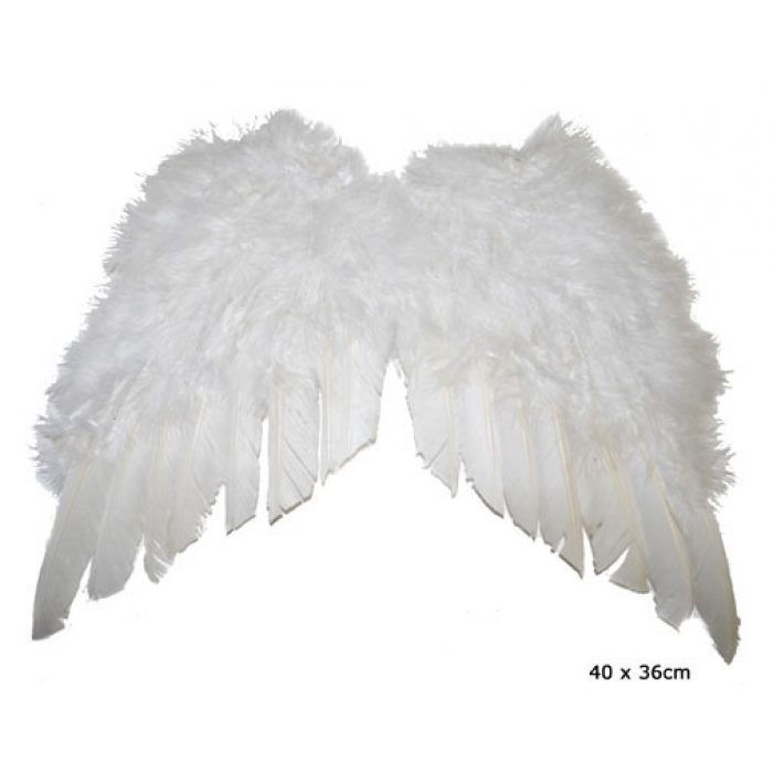 Vleugels Wit 40x36cm