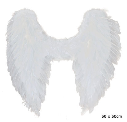 Vleugels Wit 50x50cm