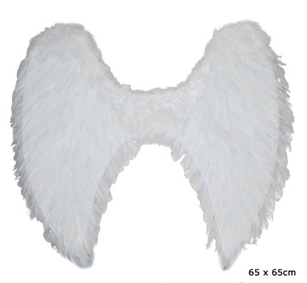 Vleugels Wit 65x65cm