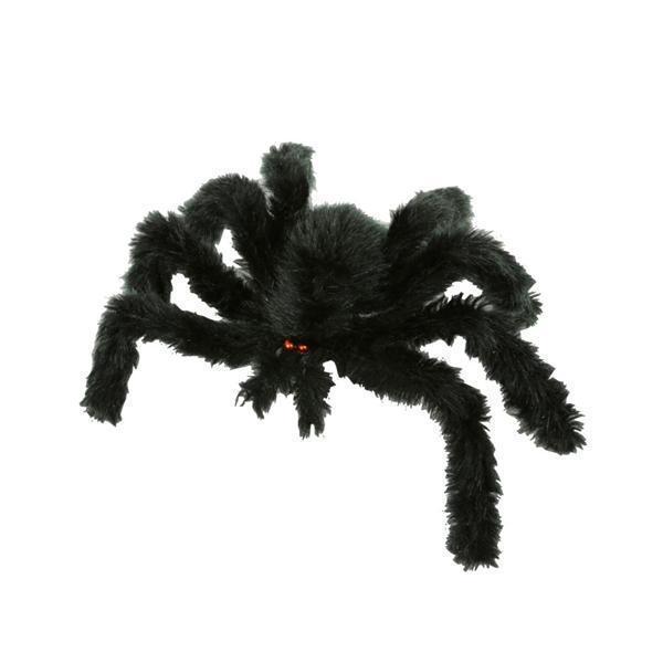 Zwarte Spin 30cm