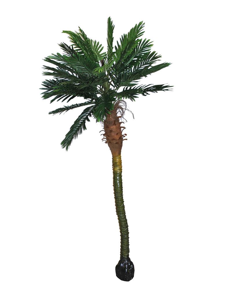 Palmboom Luxe Realistisch 240cm