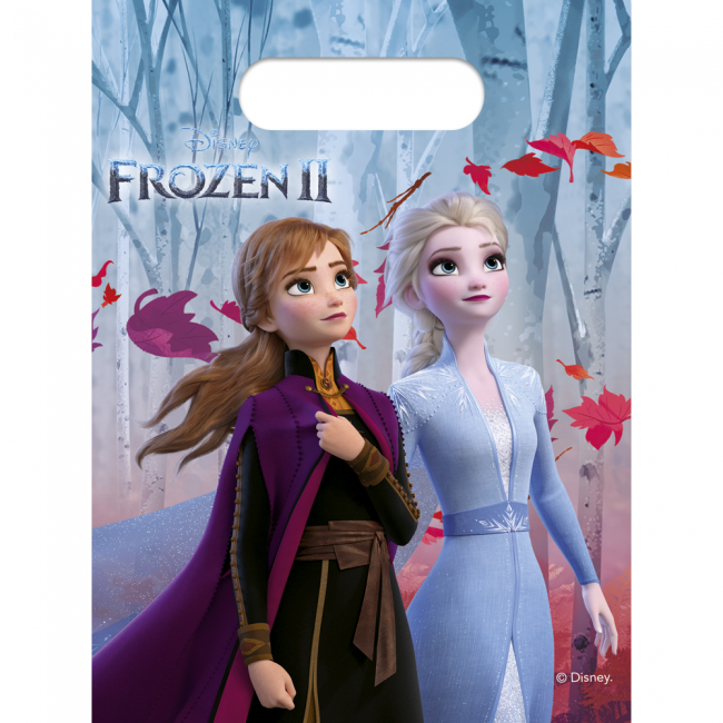 6st Feestzakjes Frozen II