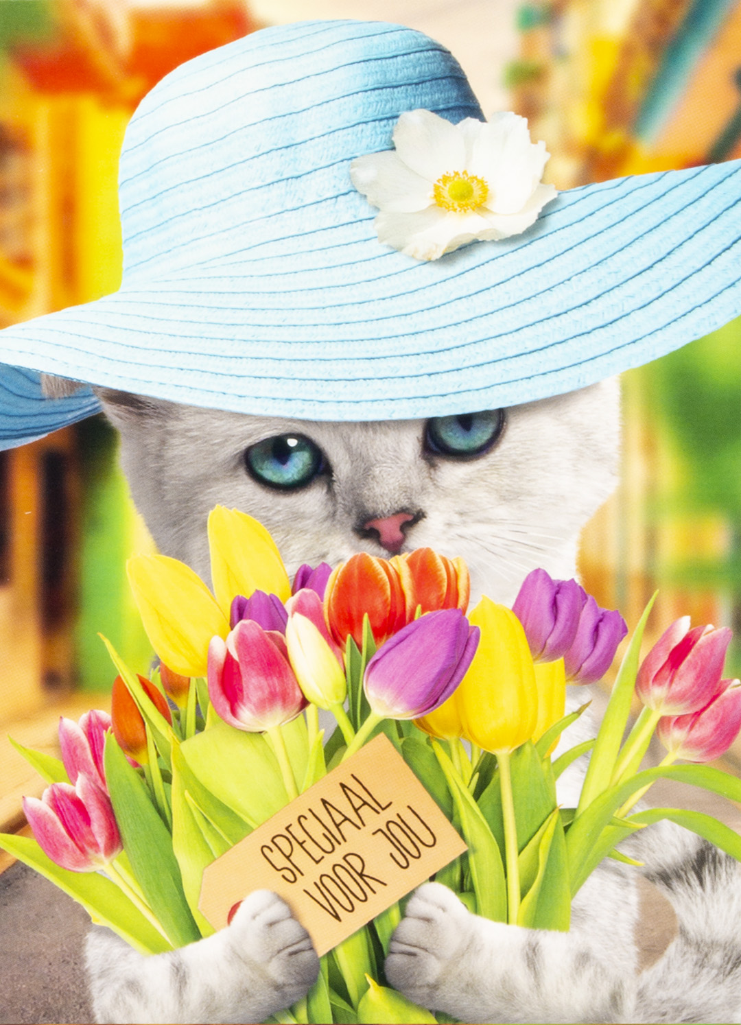 OMG Wenskaart Kat met Bloemen