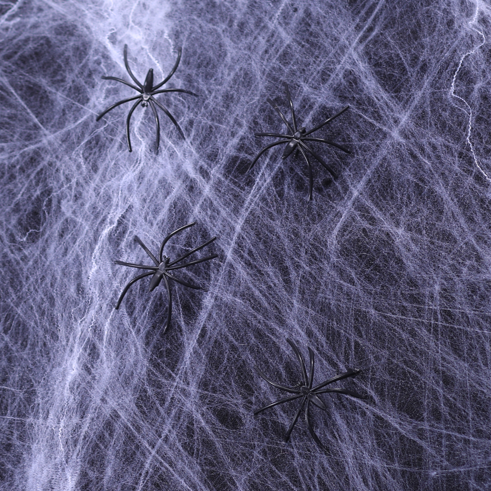 Spinnenweb Wit met 12 Spinnen Brandv. 500gr