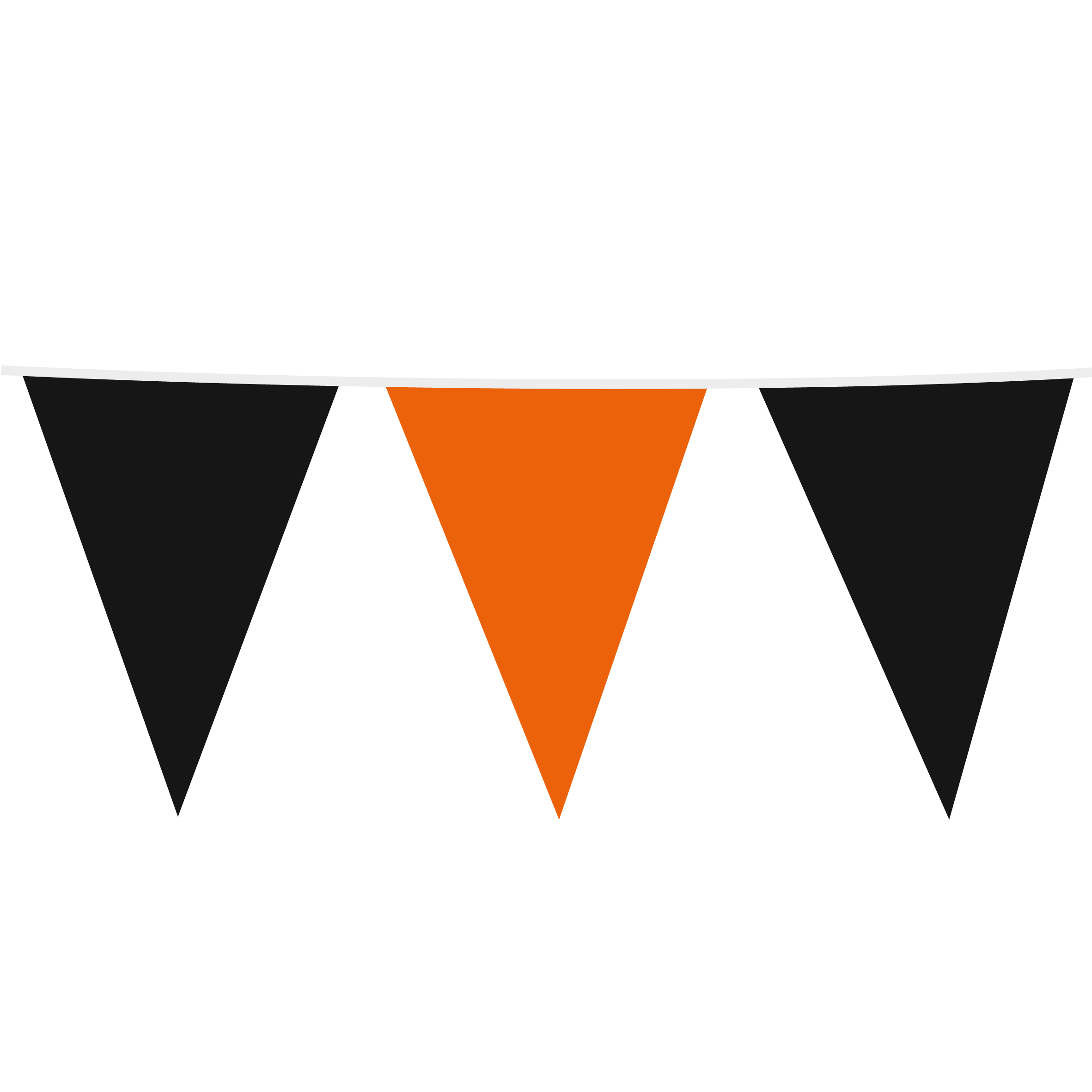 10m Maxi Vlaggenlijn Uni Zwart/Oranje