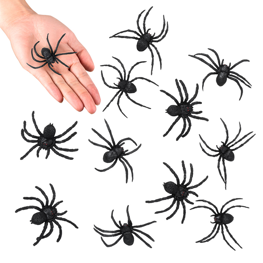 12st Spinnen Zwart