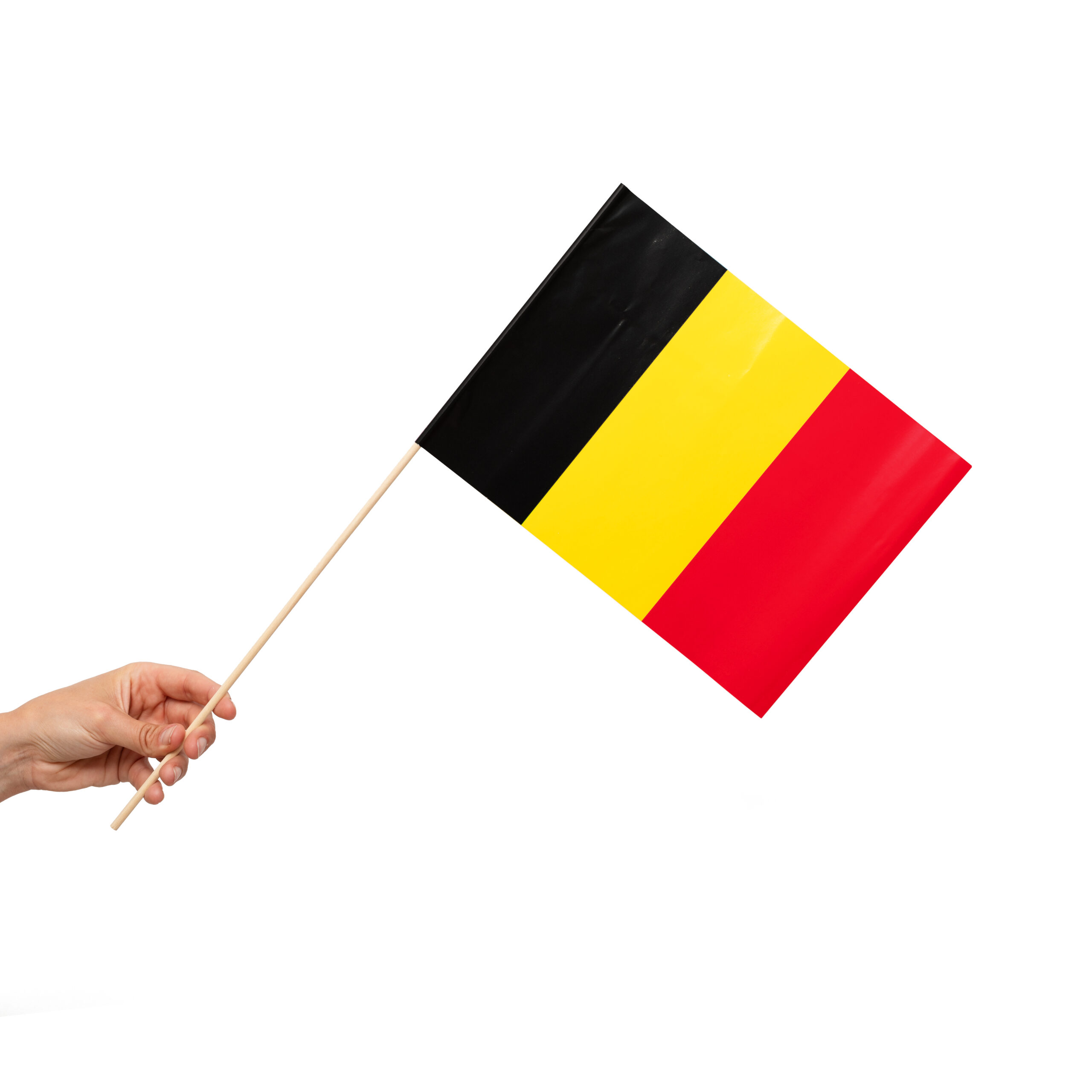 10st Papieren Vlaggetjes België