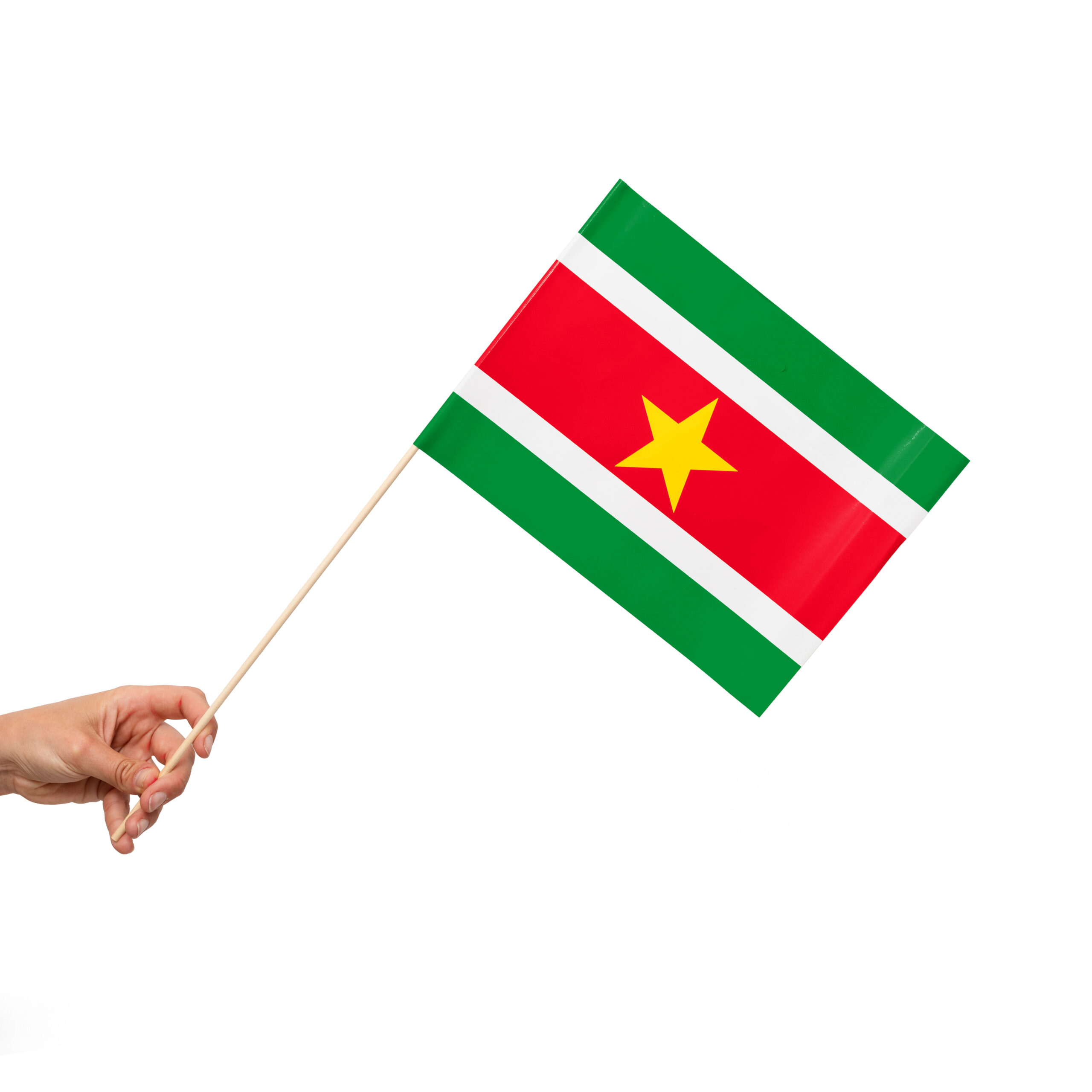10st Papieren Vlaggetjes Suriname